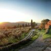 Отель Magnificent Farmhouse in Lucignano With Swimming Pool, фото 9