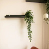 Отель Phaedrus Living Seaside Flat Athina 115, фото 1