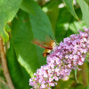 Отель Rêve du VerDHon, фото 25