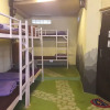 Отель Purple Monkey Backpackers, фото 11