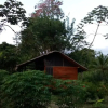 Отель Rio Mar Bahía Solano Choco Colombia, фото 3