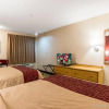 Отель Red Roof Inn Phoenix North - I-17 at Bell Rd, фото 5