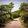 Отель Borgo Al Teto La Vite, фото 10