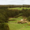 Отель Gracefield Estate, фото 7