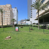 Отель Apartamento Costa Calpe - Apolo XIV, фото 16