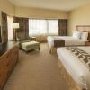 Отель DoubleTree Suites by Hilton Htl & Conf Cntr Downers Grove, фото 7
