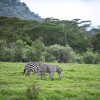 Отель Crater Lake Tented Camp & Game Sanctuary, фото 15