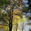 Отель Haus Wald-Eck, фото 4