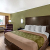 Отель Econo Lodge, фото 20