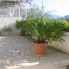 Отель Villa Misita, фото 16