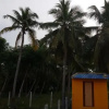 Отель Beehive homestay, фото 16