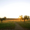 Отель Azienda Agricola Ganci, фото 7