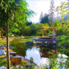 Отель Wilderness Resort & Retreat - Cawley Point, фото 39