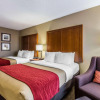 Отель Comfort Inn & Suites Airport - American Way, фото 30
