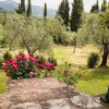Отель Tenuta Bellosguardo, фото 4