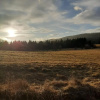 Отель Domek Bieszczady - Domeczek Tymoneczek, фото 4