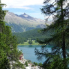 Отель Chesa Cripels I St Moritz, фото 11