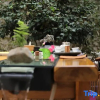 Отель Jiuhua Mountain Remote Mountain Simple Home Stay, фото 6