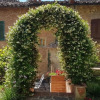 Отель Garden House, фото 1