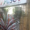 Отель Amigos Beach Resort на острове Боракае