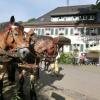 Отель Gasthaus zum Rössle, фото 13