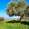 Отель Garden and sea, фото 7