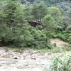Отель Yeongwol Muksan Guan Pension, фото 25