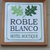 Отель Boutique Roble Blanco, фото 43