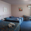 Отель Best Western Palm Court Motor Inn, фото 4