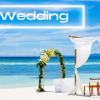 Отель New Cozy Beach Apartment With Private Beach on WS, фото 19