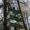 Отель Waldhotel Tannmuehle, фото 23