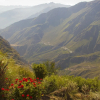 Отель La Granja del Colca, фото 50