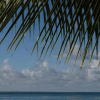 Отель Vila Sofia chalès, фото 17