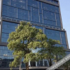 Отель Paco Ya Hotel (Zhanjiang Guomao People's Square), фото 17