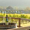 Отель Denbies Vineyard Hotel, фото 1