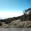 Отель Cabinas El Quetzal, фото 12