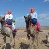 Отель Yokoso Jaisalmer, фото 11