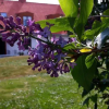 Отель Gamla Bygget Nävekvarns B&B, фото 4