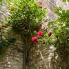 Отель Medieval Todi, фото 8