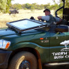 Отель Thorn Tree Bush Camp, фото 47