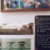 Отель Mimpi Manis Homestay, фото 35