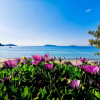 Отель Ammos Skiathos, фото 11