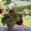 Отель Pension Wendelstein, фото 7