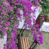 Отель Ekdant Holiday Home, фото 12