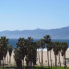Отель Venice Beach Hostel, фото 21