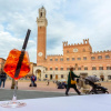 Отель Villa Podere Belvedere, фото 29