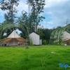 Отель Mushanye Glamping, фото 14