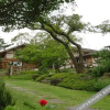 Отель Jeju Logman House Pension, фото 4