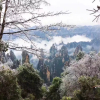 Отель Zhangjiajie Yueranju Hostel, фото 45
