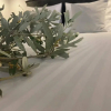 Отель Oniropetra Luxury Suites, фото 27